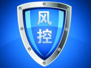 引领互联网金融服务