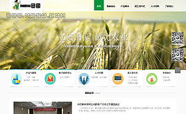 织梦模板