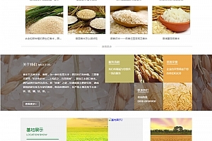 网站源码